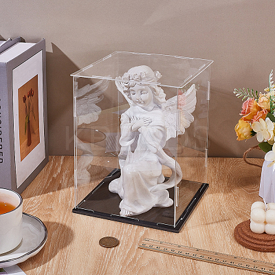 Acrylic Display Boxes CON-WH0089-163A-1