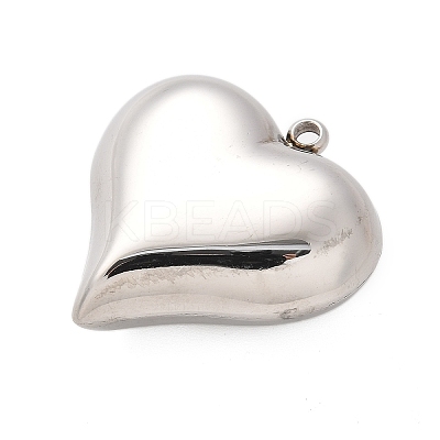 304 Stainless Steel Pendants STAS-Q349-02D-P-1