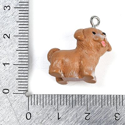 Cute Opaque Resin Pendants RESI-R458-05D-1