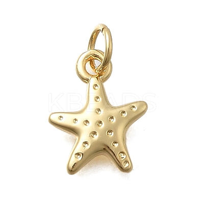 Brass Pendants KK-D431-022A-G-1