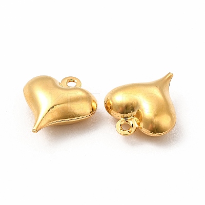 304 Stainless Steel Pendants STAS-F289-07G-1