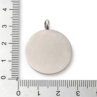 Non-Tarnish 304 Stainless Steel Pendants STAS-C086-06F-P-1