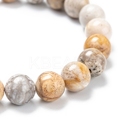 Natural Fossil Coral Stretch Beaded Bracelets G-A185-01X-1