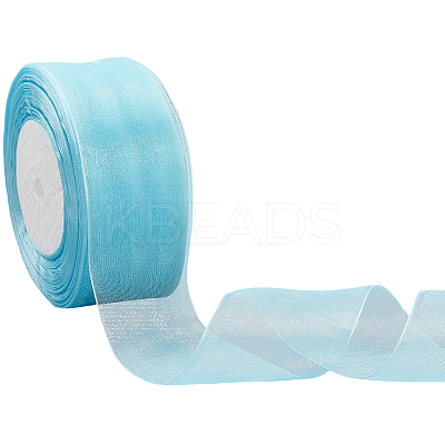 1 Rolls Sheer Organza Ribbon SRIB-CY0001-22C-12-1