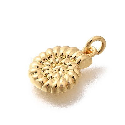 Rack Plating Brass Pendants KK-M296-14G-1