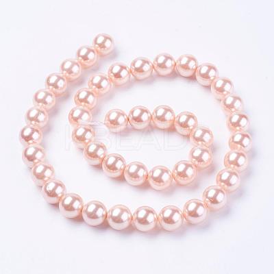 Shell Pearl Beads Strands BSHE-L035-10mm-I01-1