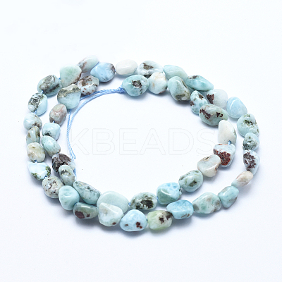 Natural Larimar Bead Strands G-E483-47-1