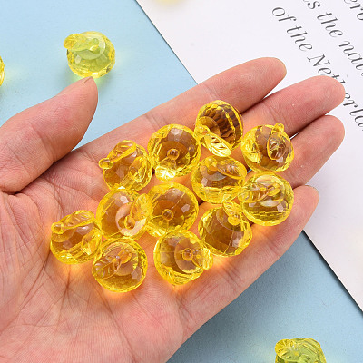 Transparent Acrylic Pendants TACR-T024-05B-916-1