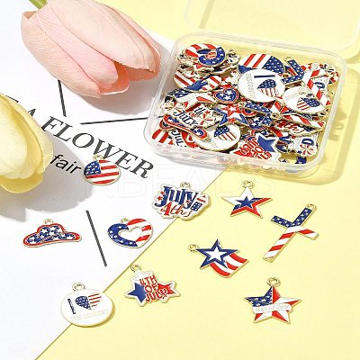 60Pcs 15 Styles Independence Day Alloy Enamel Pandants FIND-FS0004-41-1