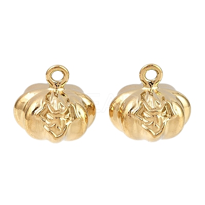 304 Stainless Steel Pendants STAS-L303-25G-1