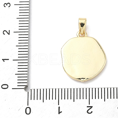 Brass Enamel Pendants KK-Z134-01G-02-1