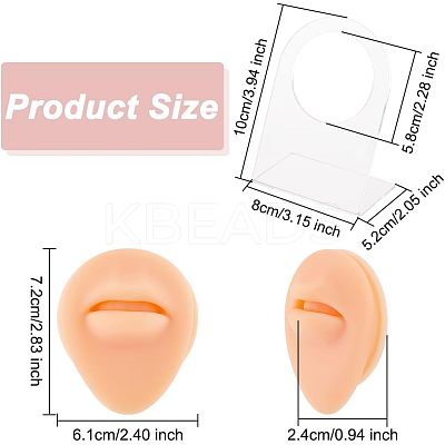 Soft Silicone Mouth Flexible Model Body Part Displays with Acrylic Stands ODIS-WH0002-22-1