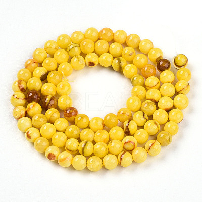 Natural Persian Jade Beads Strands G-A255-A02-04I-1