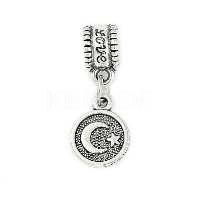 Rack Plating Brass European Dangle Charms KK-R200-14AS-1