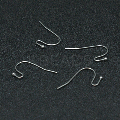 Tarnish Resistant 304 Stainless Steel Earring Hooks STAS-G140-73P-1
