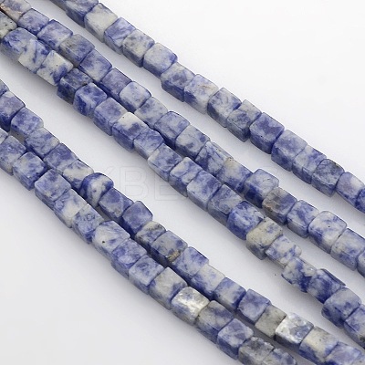 Cube Natural Blue Spot Jasper Beads Strands G-P057-05-1