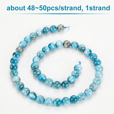 Natural Apatite Beads Strands G-OC0002-60B-1