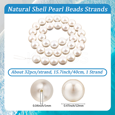 1 Strand AB Color Plated Shell Pearl Round Beads Strands BSHE-LT0001-01-1