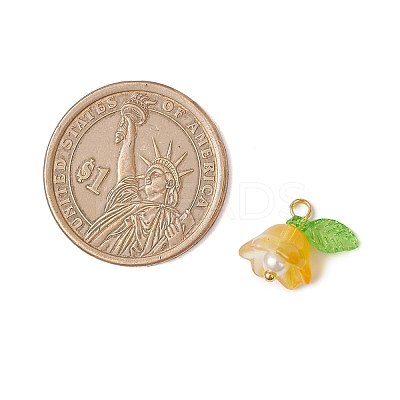 9Pcs 9 Colors Glass Charms PALLOY-MZ00838-1