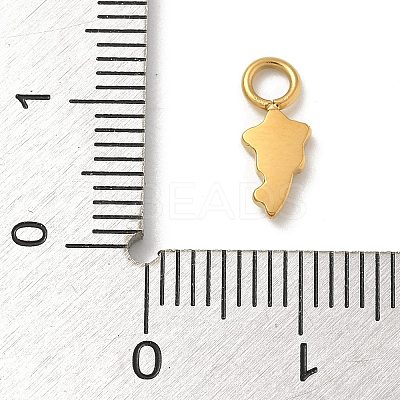 Ion Plating(IP) 304 Stainless Steel Enamel Charms STAS-G351-06G-02-1
