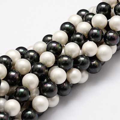 Polished Shell Pearl Bead Strands X-BSHE-F013-07C-1
