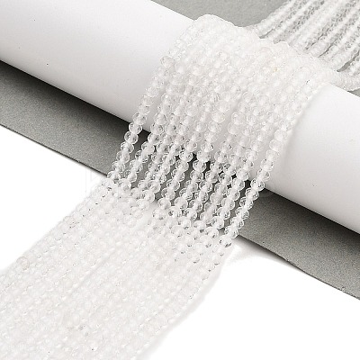 Natural Quartz Crystal Beads Strands G-K376-B02-01-1