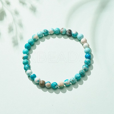 Natural Howlite Round Beaded Stretch Bracelet BJEW-JB08290-02-1