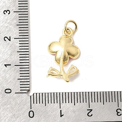 Brass Pave Clear Cubic Zirconia Pendants LS-KK-G554-05G-04-1