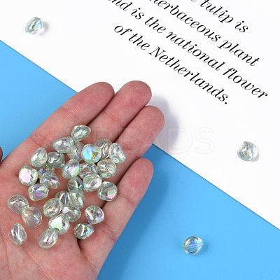 Transparent Acrylic Beads MACR-S373-131-C10-1