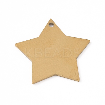 Ion Plating(IP) 304 Stainless Steel Pendants STAS-F271-04C-G-1