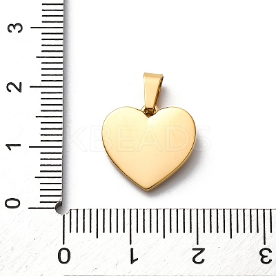 304 Stainless Steel Charms STAS-U043-18G-1