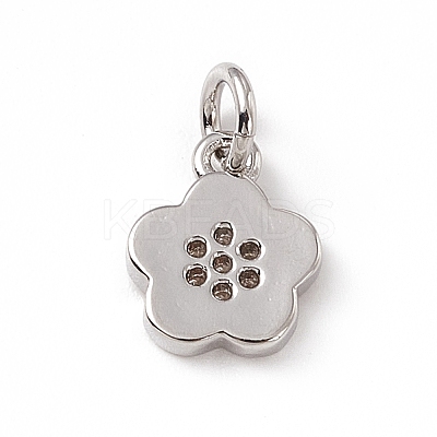 Brass Micro Pave Cubic Zirconia Charms ZIRC-F132-65P-1