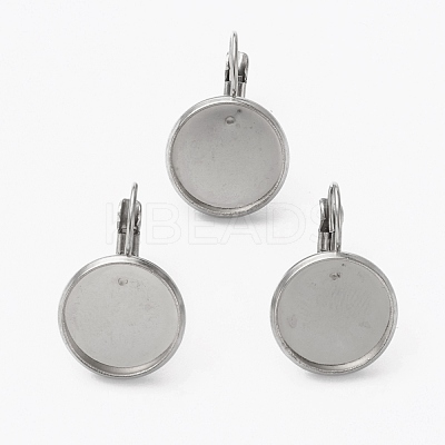 Tarnish Resistant 304 Stainless Steel Leverback Earring Findings STAS-L253-005C-P-1