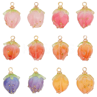 12Pcs 6 Colors Opaque Acrylic Charms MACR-OC0001-17-1