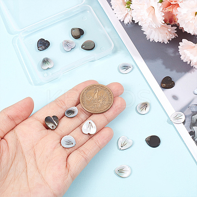 16Pcs 2 Styles Natural Black Lip Shell Charms SSHEL-GA0001-09-1