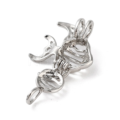 Alloy Bead Cage Pendants LS-FIND-M012-01E-P-1