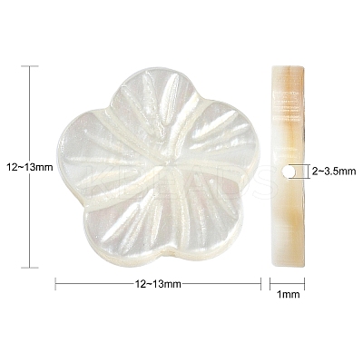 30Pcs Natural Freshwater Shell Beads Strands SHEL-CJ0001-30-1