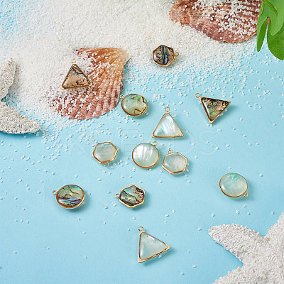 12Pcs 6 Styles Natural Shell Pendant Sets SHEL-CD0001-03-1