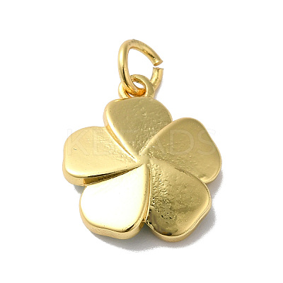 Rack Plating Brass Enamel Charms KK-O142-56G-02-1