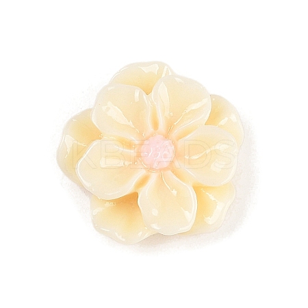 Opaque Resin Cabochons CRES-D283-01C-03-1