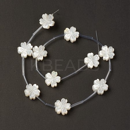 Natural White Shell Mother of Pearl Shell Beads BSHE-B005-09-1