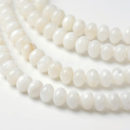 Dyed Natural Freshwater Shell Rondelle Bead Strands BSHE-O016-19D-1