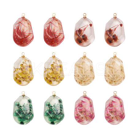 12Pcs 6 Colors Resin Pendants RESI-CD0001-08-1