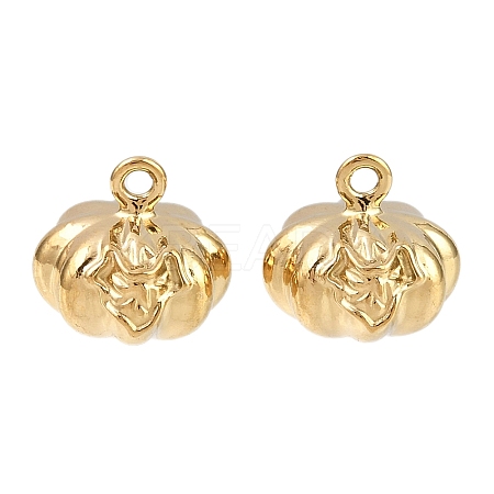 304 Stainless Steel Pendants STAS-L303-25G-1