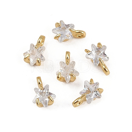 Rack Plating Brass Micro Pave Cubic Zirconia Charms LS-KK-H449-46G-1