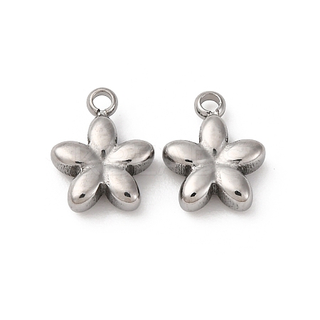 304 Stainless Steel Charms STAS-L022-521P-1