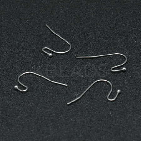 Tarnish Resistant 304 Stainless Steel Earring Hooks STAS-G140-73P-1