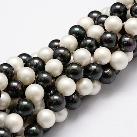 Polished Shell Pearl Bead Strands X-BSHE-F013-07C-1