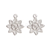 Tarnish Resistant 304 Stainless Steel Pendants STAS-M274-036P-2