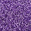 MIYUKI Delica Beads SEED-X0054-DB1343-3